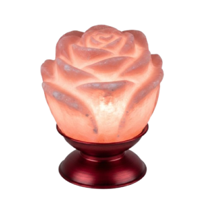 Gemini_Generated_Image_7cr57d7cr57d7cr5-removebg-preview