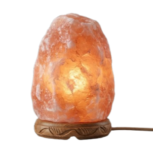 Gemini_Generated_Image_7l2s6y7l2s6y7l2s-removebg-preview