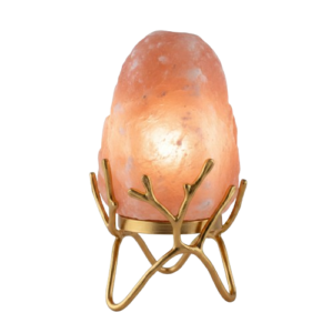 Gemini_Generated_Image_ld108wld108wld10-removebg-preview